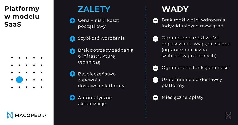 Zalety i wady SaaS