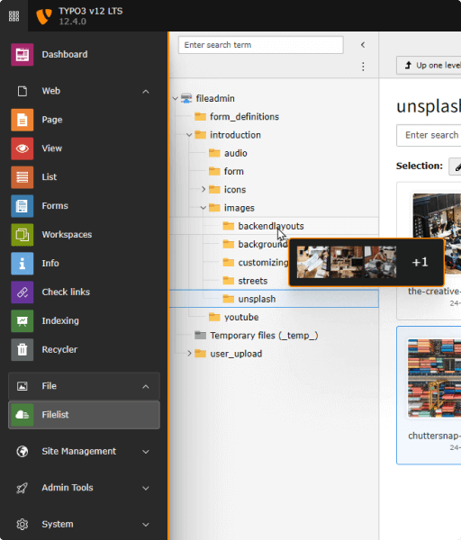 TYPO3 Admin Panel