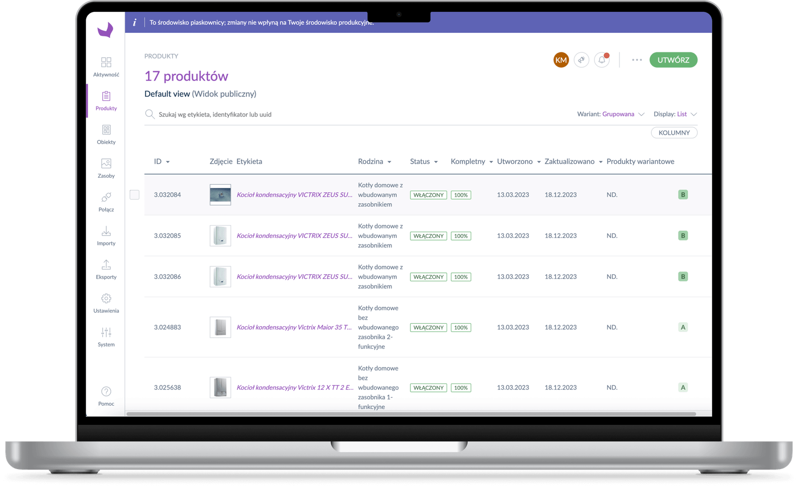 Immergas case study